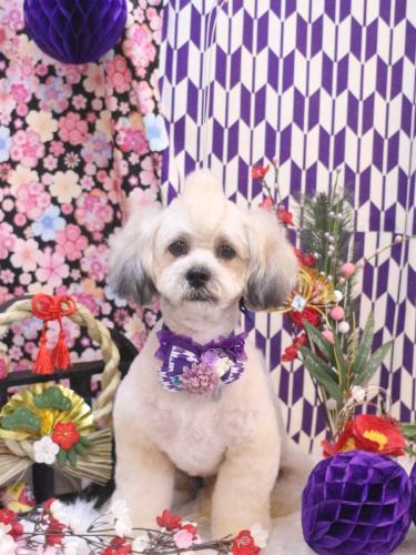 20250121イザくん